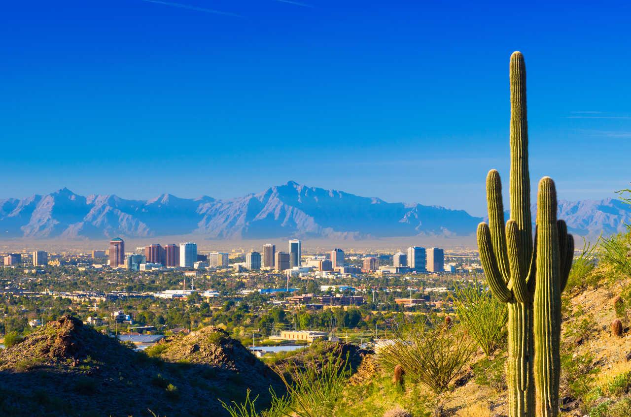 Cambria Hotel Phoenix - North Scottsdale Luaran gambar