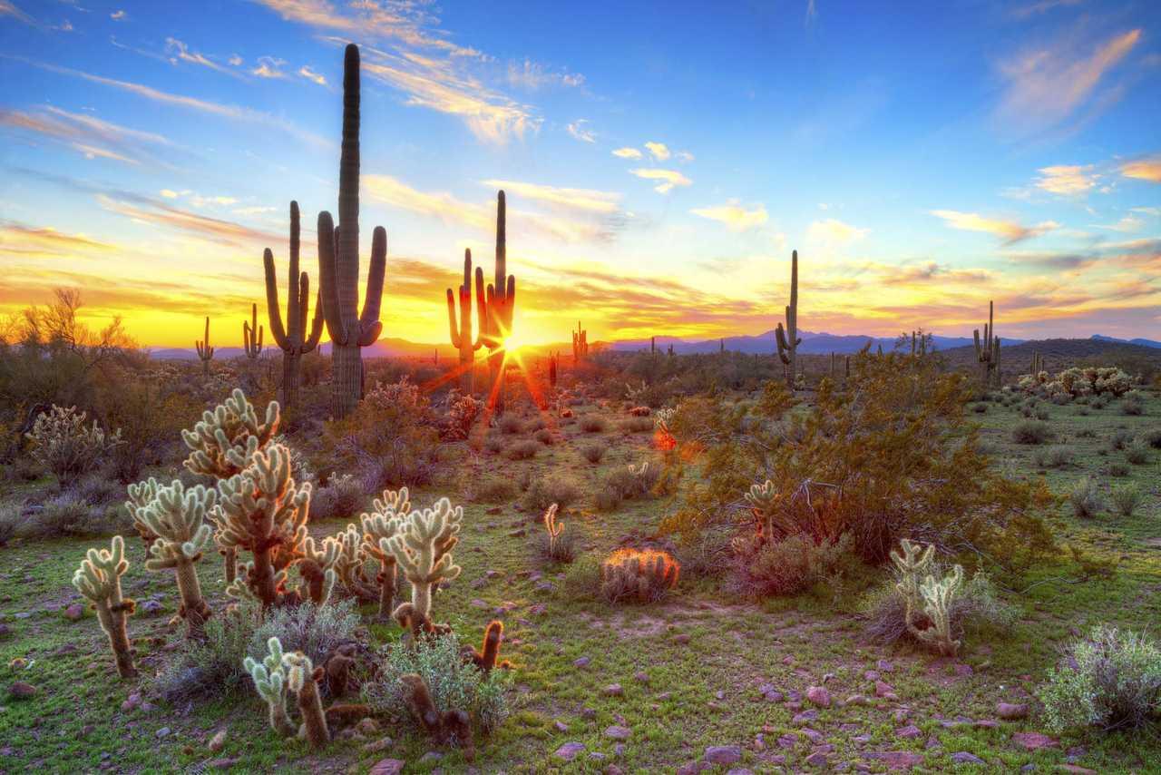 Cambria Hotel Phoenix - North Scottsdale Luaran gambar