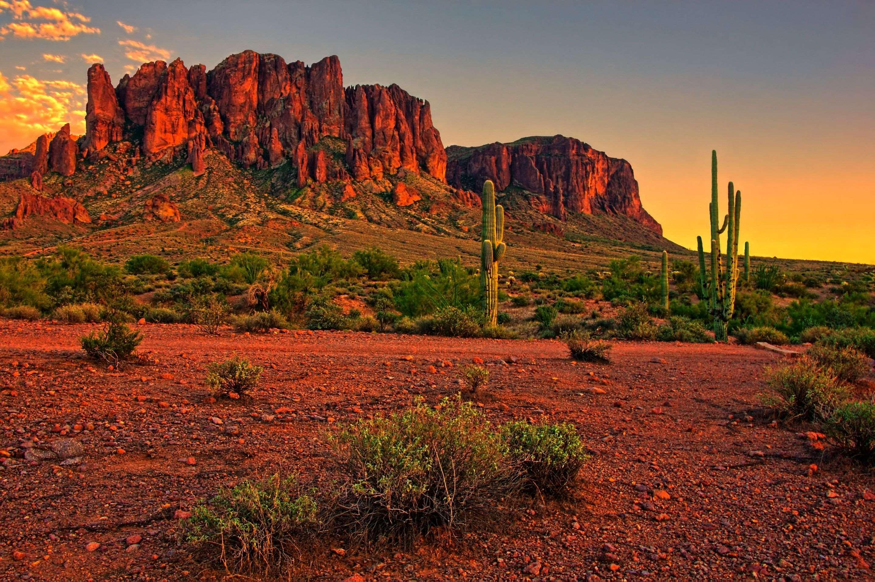 Cambria Hotel Phoenix - North Scottsdale Luaran gambar